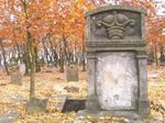cztery pory roku na cmentarzu ydowskim w Zduskiej Woli
