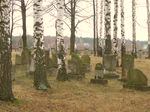 oynia - ydowski cmentarz