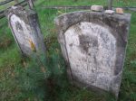 cmentarz żydowski w Zwierzyńcu